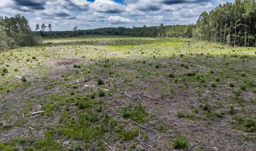 Photo #28 of Off Courthouse Road, Waverly, VA 50.0 acres