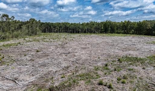 Photo #29 of Off Courthouse Road, Waverly, VA 50.0 acres