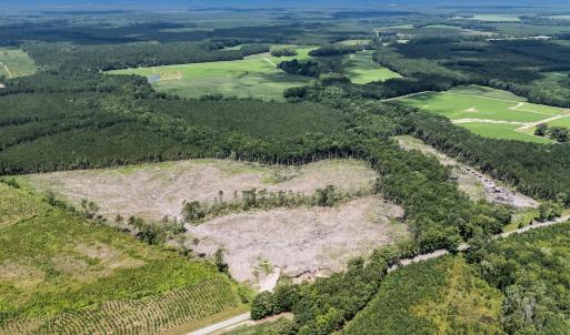 Photo #3 of Off Courthouse Road, Waverly, VA 50.0 acres