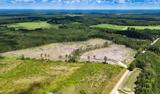 Photo #4 of Off Courthouse Road, Waverly, VA 50.0 acres