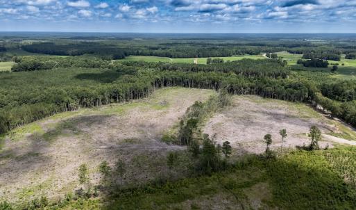 Photo #5 of Off Courthouse Road, Waverly, VA 50.0 acres