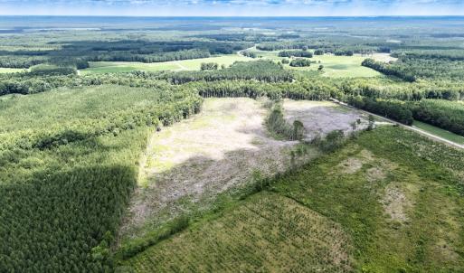 Photo #7 of Off Courthouse Road, Waverly, VA 50.0 acres