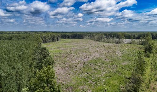 Photo #8 of Off Courthouse Road, Waverly, VA 50.0 acres