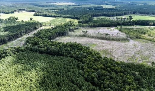 Photo #11 of Off Courthouse Road, Waverly, VA 50.0 acres