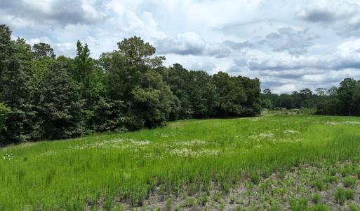 Photo #7 of Off Occoneechee Neck North Road, Jackson, NC 7.9 acres