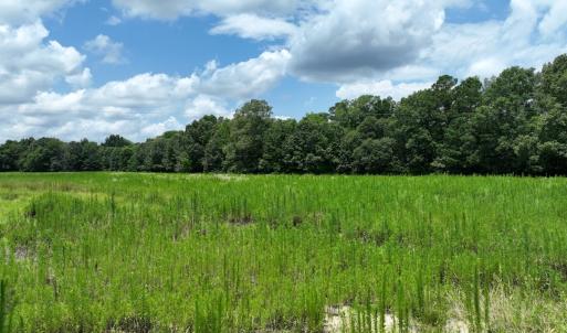 Photo #8 of Off Occoneechee Neck North Road, Jackson, NC 7.9 acres