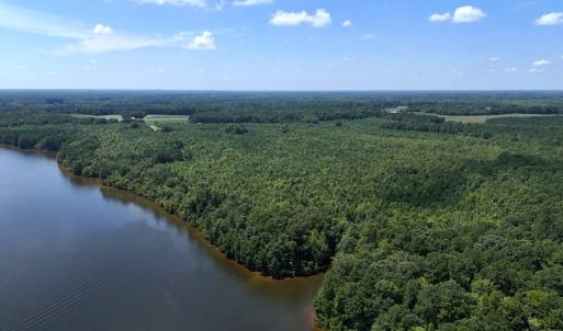 Photo #4 of Off  Johnson Farm Road, Kenly, NC 130.1 acres