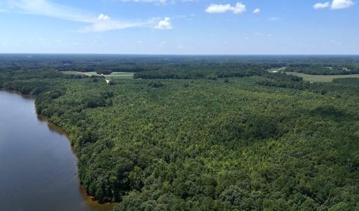 Photo #6 of Off  Johnson Farm Road, Kenly, NC 130.1 acres