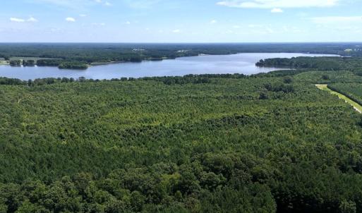 Photo #7 of Off  Johnson Farm Road, Kenly, NC 130.1 acres