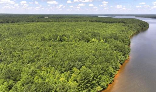 Photo #14 of Off  Johnson Farm Road, Kenly, NC 130.1 acres
