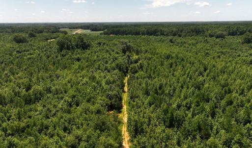 Photo #17 of Off  Johnson Farm Road, Kenly, NC 130.1 acres