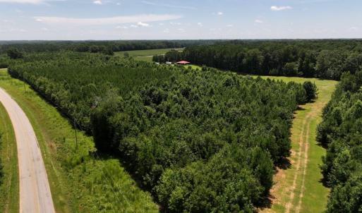 Photo #19 of Off  Johnson Farm Road, Kenly, NC 130.1 acres