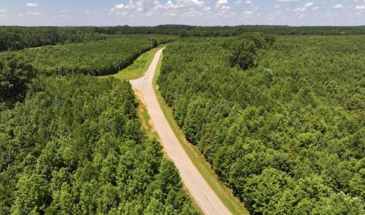 Photo #21 of Off  Johnson Farm Road, Kenly, NC 130.1 acres