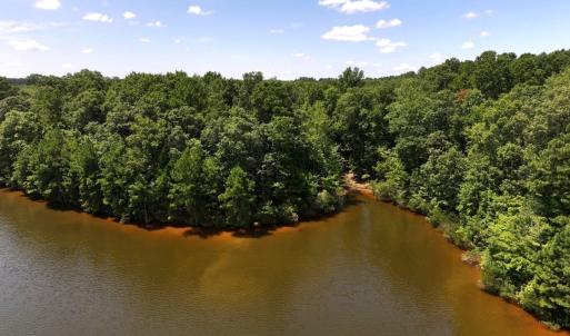Photo #23 of Off  Johnson Farm Road, Kenly, NC 130.1 acres
