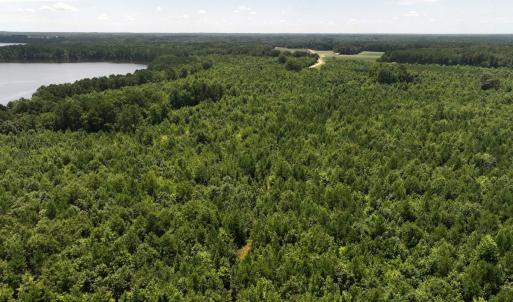 Photo #26 of Off  Johnson Farm Road, Kenly, NC 130.1 acres