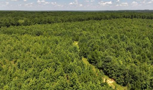 Photo #27 of Off  Johnson Farm Road, Kenly, NC 130.1 acres