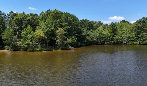 Photo #35 of Off  Johnson Farm Road, Kenly, NC 130.1 acres