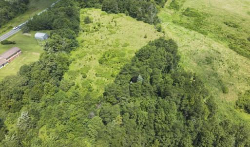 Photo #5 of 6175 NC Hwy 86S, Yanceyville, NC 4.2 acres