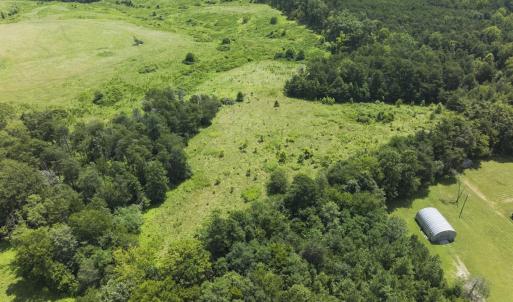 Photo #6 of 6175 NC Hwy 86S, Yanceyville, NC 4.2 acres