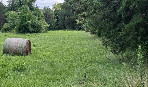 Photo #7 of 6175 NC Hwy 86S, Yanceyville, NC 4.2 acres