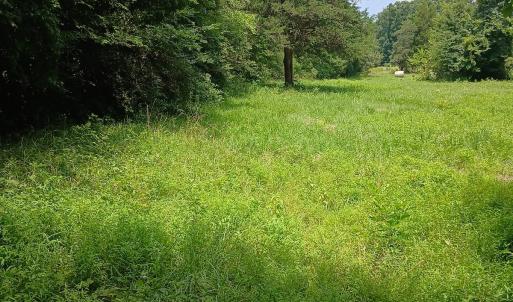 Photo #11 of 6175 NC Hwy 86S, Yanceyville, NC 4.2 acres