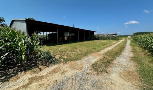Photo #10 of Off Savage Rd, Corapeak, NC 151.0 acres