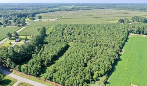 Photo #13 of Off Savage Rd, Corapeak, NC 151.0 acres