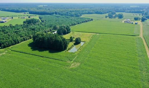 Photo #15 of Off Savage Rd, Corapeak, NC 151.0 acres