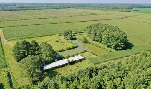 Photo #17 of Off Savage Rd, Corapeak, NC 151.0 acres