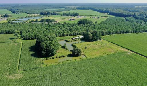 Photo #19 of Off Savage Rd, Corapeak, NC 151.0 acres