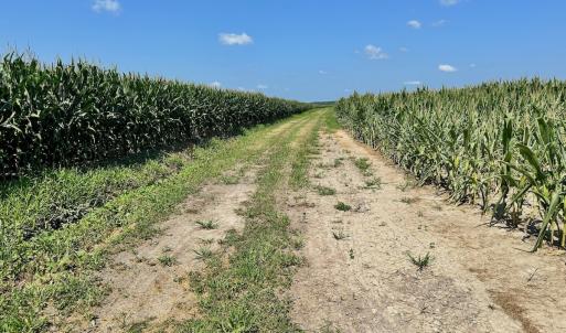 Photo #2 of Off Savage Rd, Corapeak, NC 151.0 acres