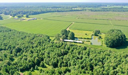 Photo #21 of Off Savage Rd, Corapeak, NC 151.0 acres