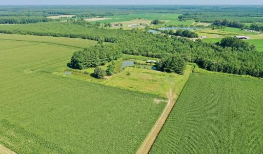 Photo #22 of Off Savage Rd, Corapeak, NC 151.0 acres