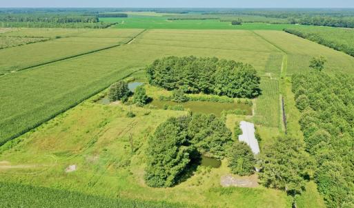 Photo #23 of Off Savage Rd, Corapeak, NC 151.0 acres
