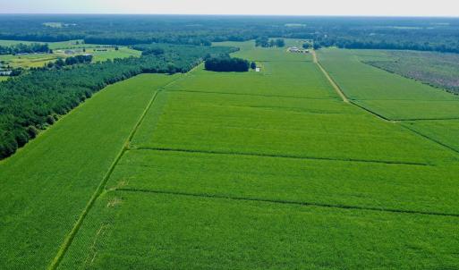 Photo #24 of Off Savage Rd, Corapeak, NC 151.0 acres
