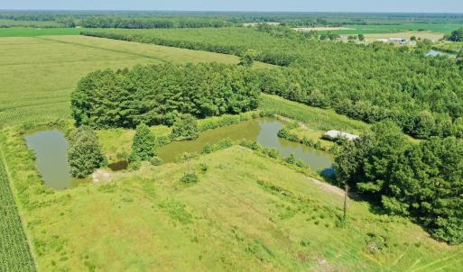Photo #25 of Off Savage Rd, Corapeak, NC 151.0 acres
