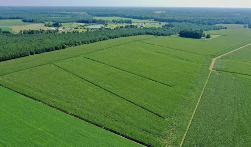 Photo #27 of Off Savage Rd, Corapeak, NC 151.0 acres