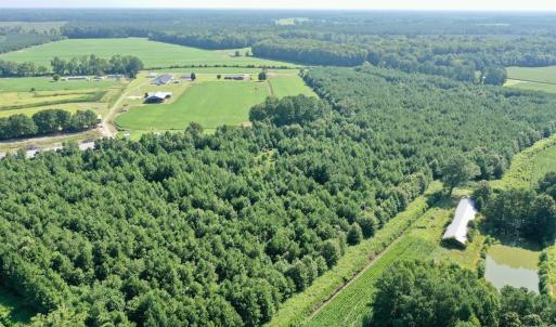 Photo #28 of Off Savage Rd, Corapeak, NC 151.0 acres
