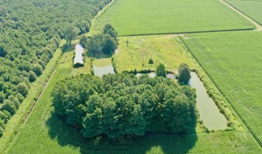 Photo #29 of Off Savage Rd, Corapeak, NC 151.0 acres