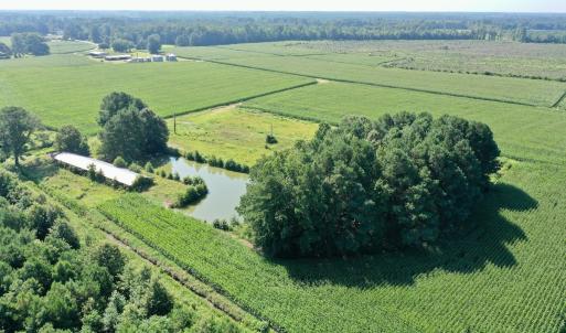Photo #31 of Off Savage Rd, Corapeak, NC 151.0 acres