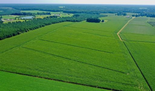 Photo #32 of Off Savage Rd, Corapeak, NC 151.0 acres
