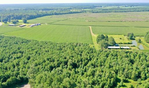 Photo #33 of Off Savage Rd, Corapeak, NC 151.0 acres