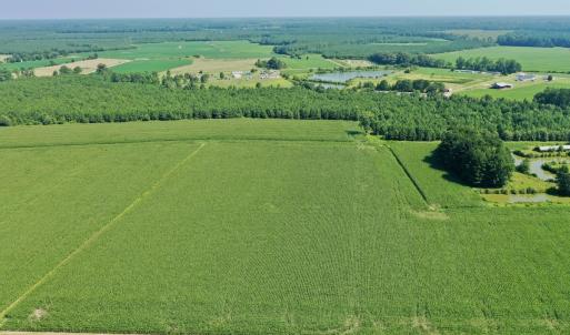Photo #34 of Off Savage Rd, Corapeak, NC 151.0 acres