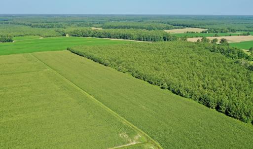 Photo #35 of Off Savage Rd, Corapeak, NC 151.0 acres