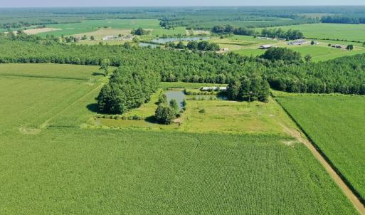 Photo #36 of Off Savage Rd, Corapeak, NC 151.0 acres