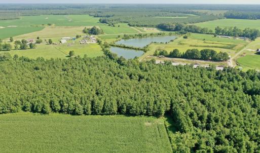 Photo #37 of Off Savage Rd, Corapeak, NC 151.0 acres