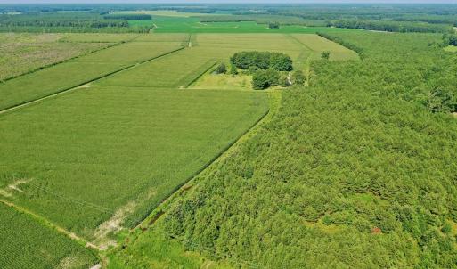 Photo #38 of Off Savage Rd, Corapeak, NC 151.0 acres