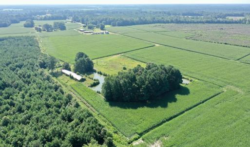 Photo #39 of Off Savage Rd, Corapeak, NC 151.0 acres