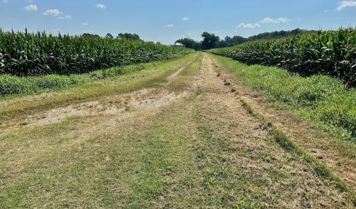 Photo #4 of Off Savage Rd, Corapeak, NC 151.0 acres