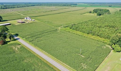 Photo #7 of Off Savage Rd, Corapeak, NC 151.0 acres
